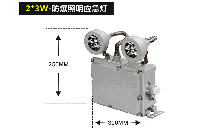 防爆双头应急灯