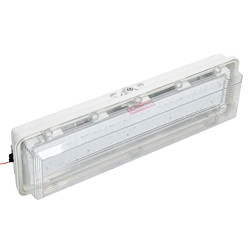 BYS系列单管防爆全塑荧光灯（ICB、DIP）