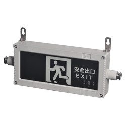 BYY51防爆消防应急灯