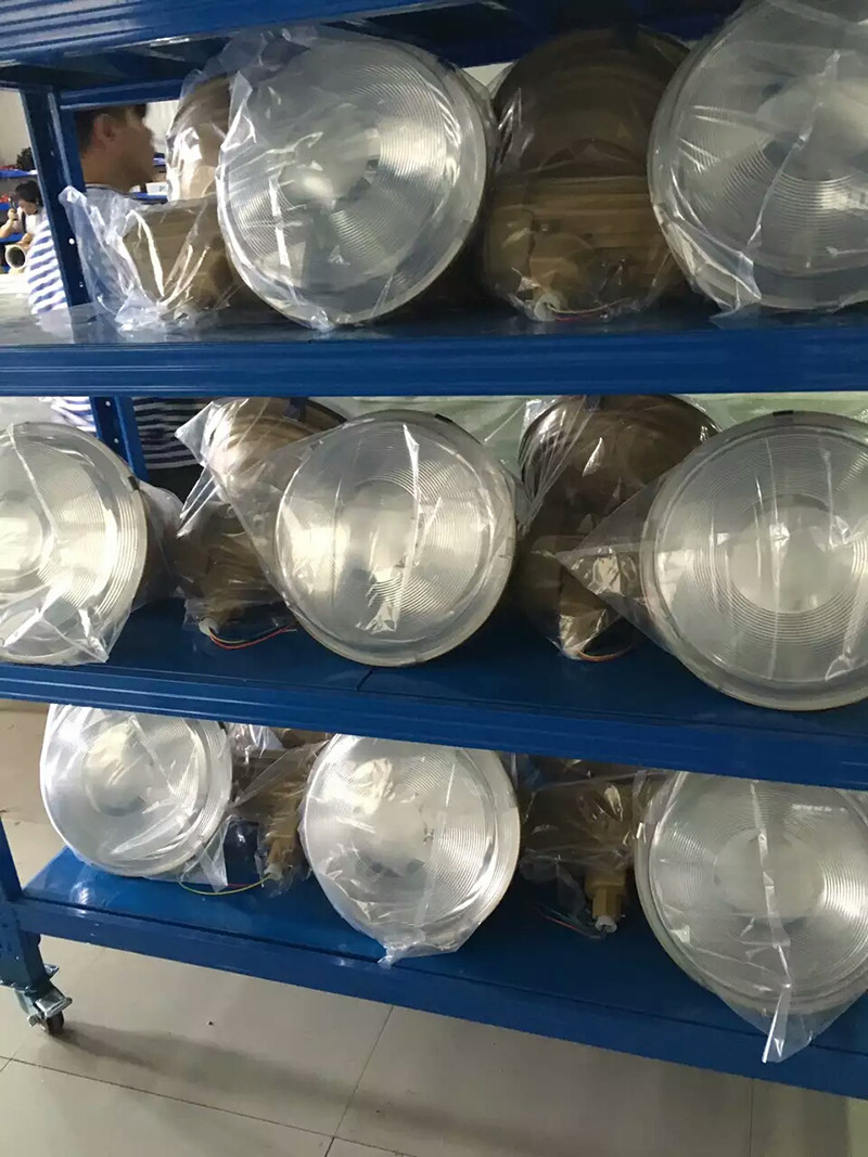 XQW1105防爆无极灯展示图