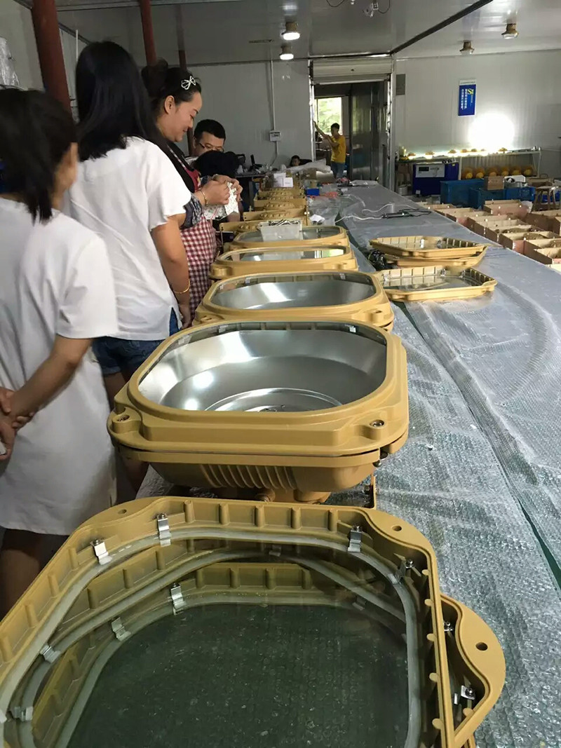 XQW1130防爆无极灯展示图