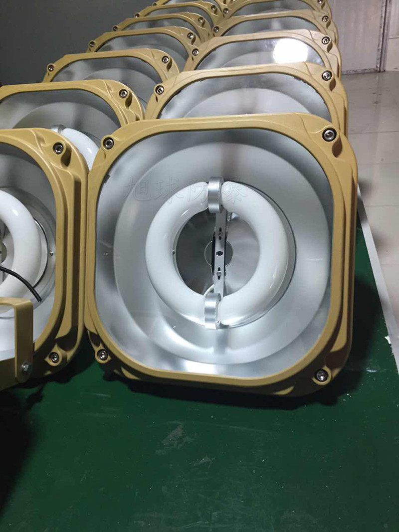 XQW1130防爆无极灯展示图