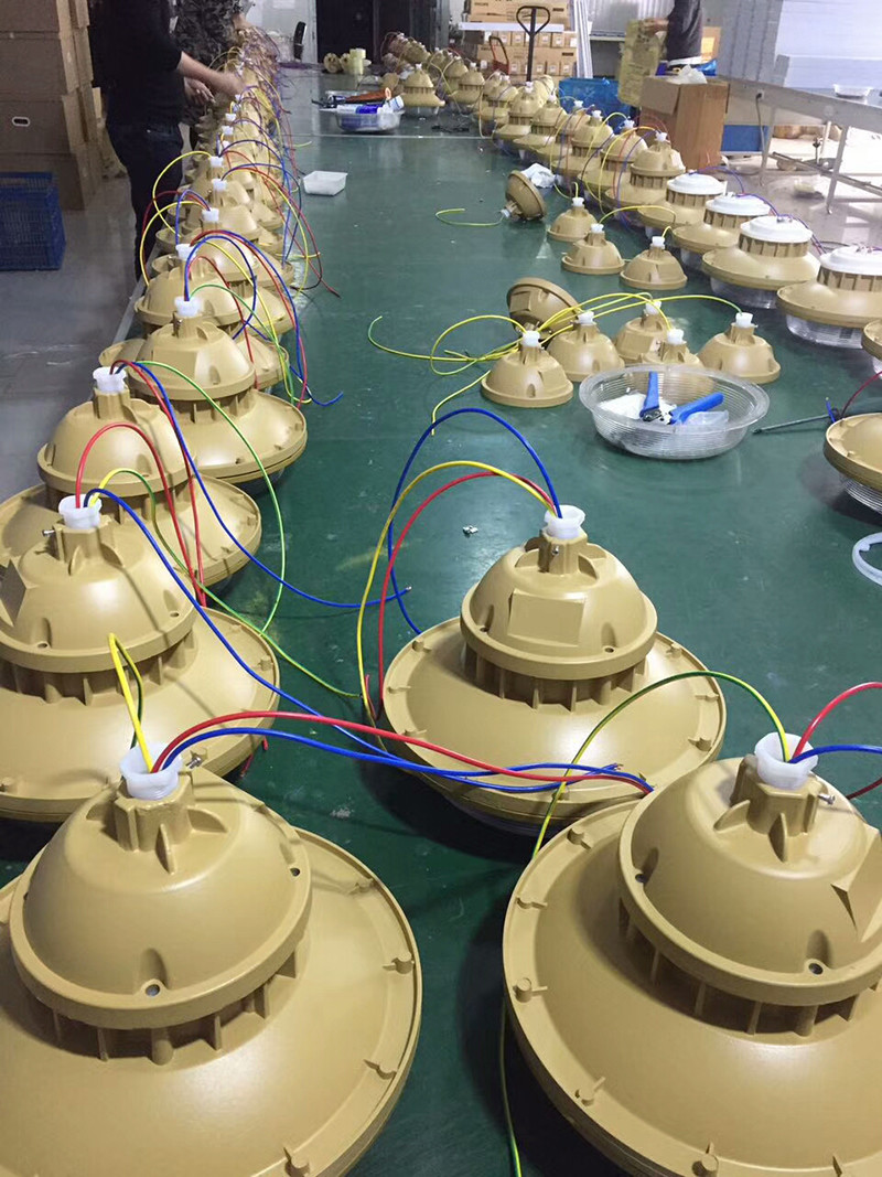 XQF6102防爆无极灯展示图