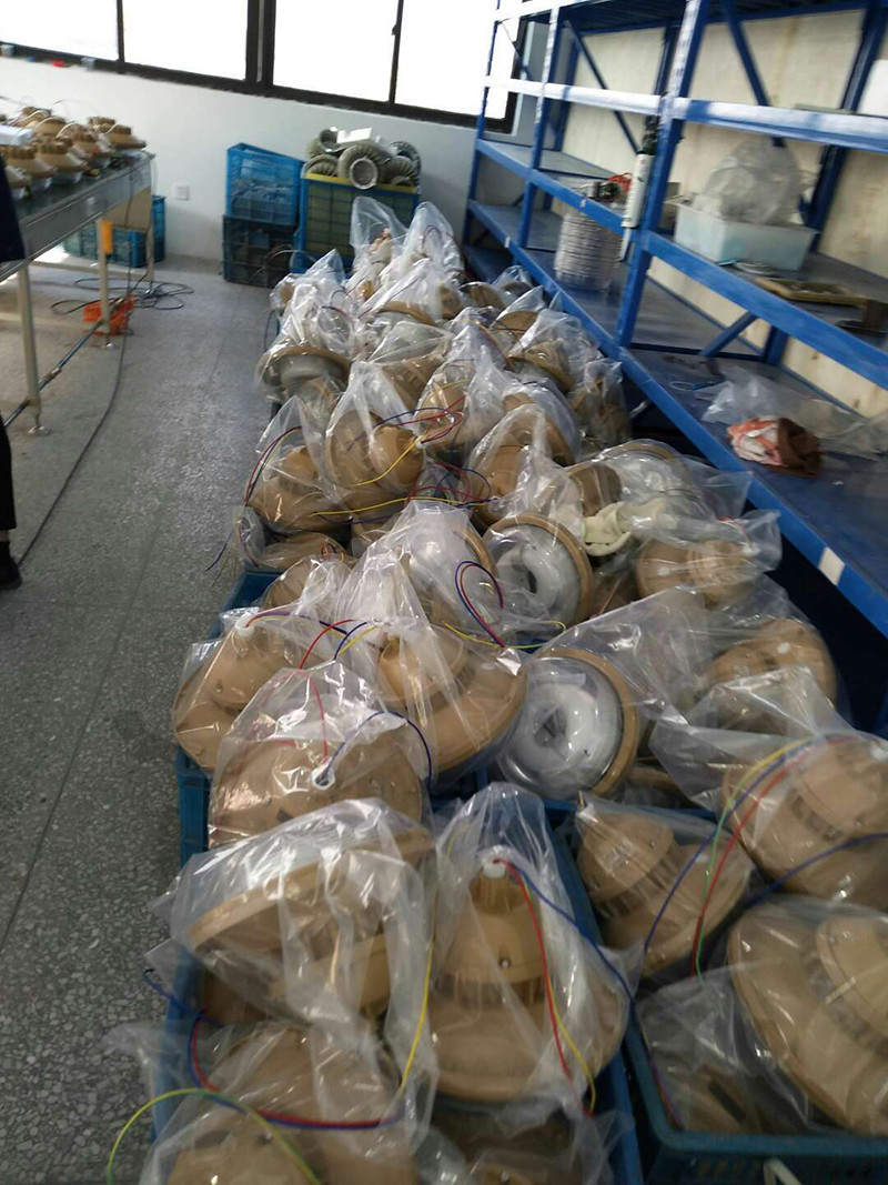 XQF6102防爆无极灯展示图