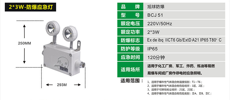 BCJ51防爆消防应急灯展示图